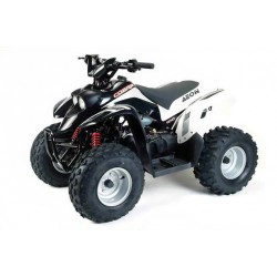Cobra 100 2T Air cooled 2002-2006