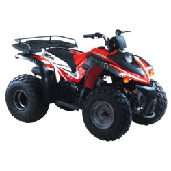 Cobra 180 RS II 4T 2004-2012