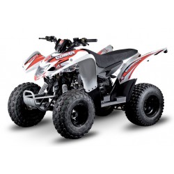 Cobra 50 2T Air cooled 2003-2013