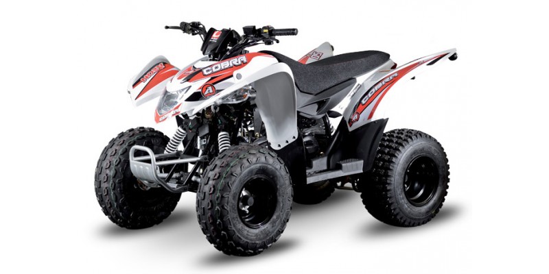 Cobra 50 2T Air cooled 2003-2013