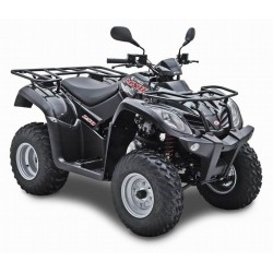 MXU 250 4T Lc 2004-2013
