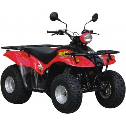MXer 50 2T Air cooled 2000-2007