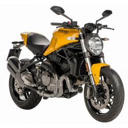 MONSTER 821 2017-2021