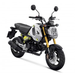MSX 125 (GROM) ABS 2021-2024