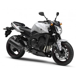FZ1 NA (22C) 2006-2013