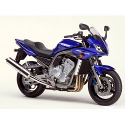 FZS 1000 2001-2005