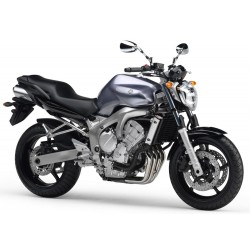 FZ6 (1B3) 2007-2009