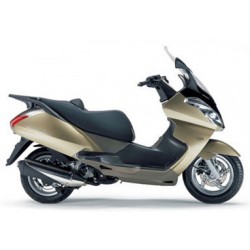 ATLANTIC 250 2007-2009 (Μοτέρ PIAGGIO Αρ.κιν.M237M)