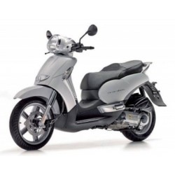 SCARABEO 300 ie LIGHT 2009-2011 (Euro 3) (Μοτέρ PIAGGIO Αρ.κιν.M28RM)