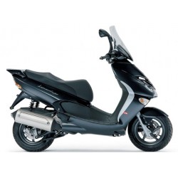 LEONARDO 300 2004-2007