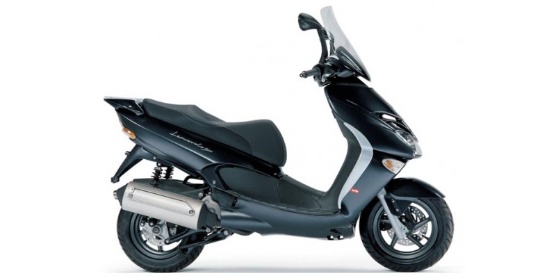 LEONARDO 300 2004-2007