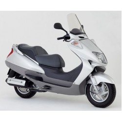 FES 250 FORESIGHT 2001-2002