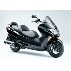FORZA 250X 2005-2007