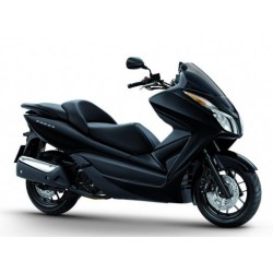 NSS 300 FORZA 2013-2017