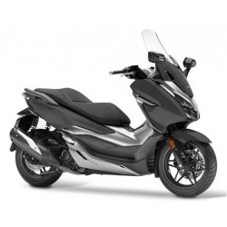 NSS 300 FORZA 2018-2020