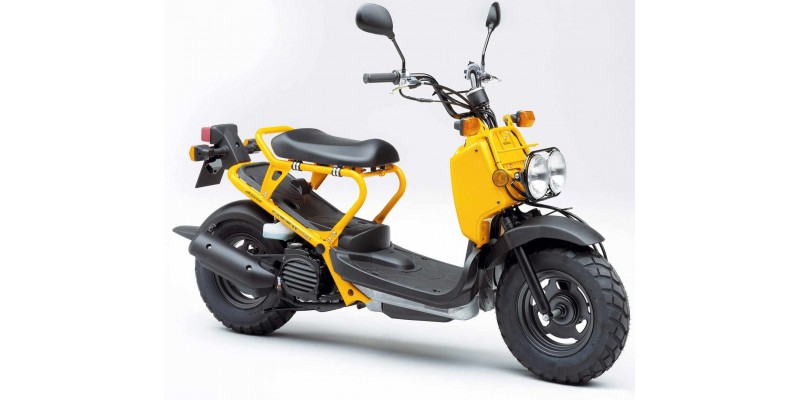 NPS 50 Zoomer 4T Lc 2002-2013
