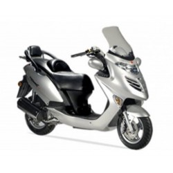 GRAND DINK 250 2001-2002