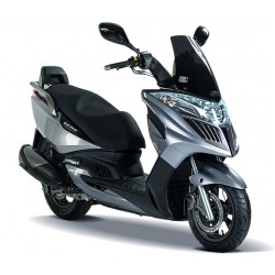 GRAND DINK 300i 2010-2013