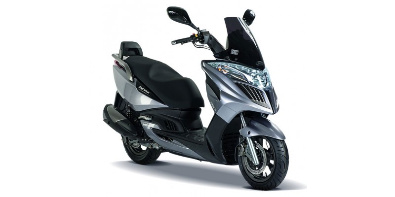 GRAND DINK 300i 2010-2013