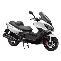 XCITING 300R ie Lc 4T 2010-2014 (Euro 3)