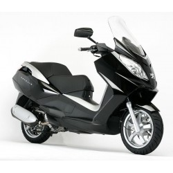 SATELIS 250 2006-2009 (Euro3)