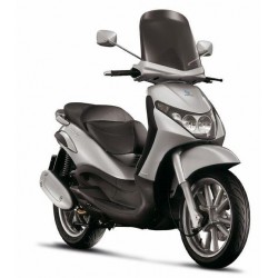 BEVERLY 250 ie 2006-2008 (Euro 3)