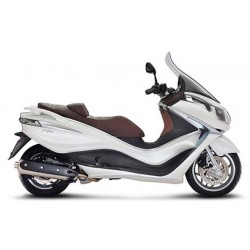 X10 500 ie Executive 2012-2015 (Euro 3)