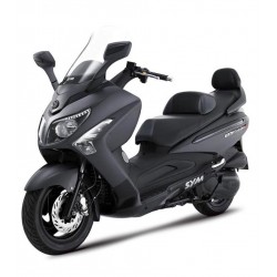 GTS 250 ie Evo Lc 4T 2013-2015 (Euro 3)