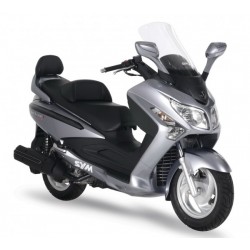 GTS 300 2009-