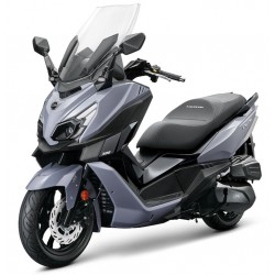 CRUISYM a 300 ABS / TCS E5+ 2025-