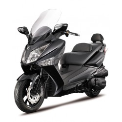 GTS 300 ie F4 ABS 2013-2016 (Euro 3)
