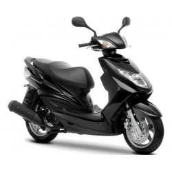 NXC 125 CYGNUS-X 2006