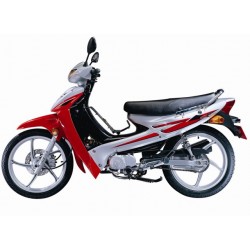 ACTIVE 110
