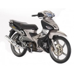 GT 135